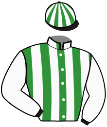 casaque portée par Vautier Mme Aud jockey du cheval de course JIPCHO SKILL, information pmu ZETURF