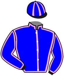 casaque portée par Saout Mlle C. jockey du cheval de course HERCULE DU LEVANT, information pmu ZETURF