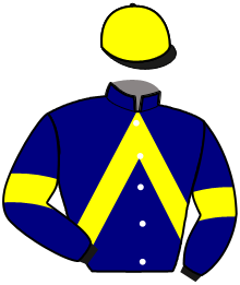 casaque portée par Geray P. jockey du cheval de course HAPPY DE NARMONT, information pmu ZETURF