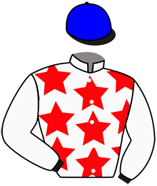 casaque portée par Magnenat Mme L. jockey du cheval de course JOIE DE BERTRANGE, information pmu ZETURF