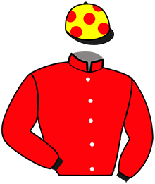 casaque portée par Bord T. jockey du cheval de course JIKOA EFJI, information pmu ZETURF casaque portée par Bord T. jockey du cheval de course JIKOA EFJI, information pmu ZETURF