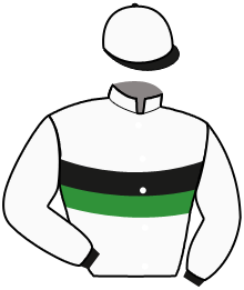 casaque portée par Treich J. H. jockey du cheval de course FLASH DE LA NOE, information pmu ZETURF