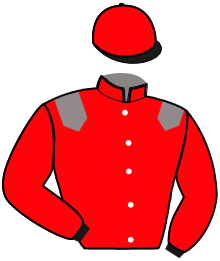 casaque portée par Laigron Ax. jockey du cheval de course MATEO DE REVE, information pmu ZETURF