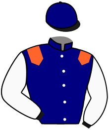 casaque portée par Hardouin E. jockey du cheval de course ANCTOT, information pmu ZETURF