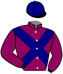 casaque portée par Guyon M. jockey du cheval de course DIRE LA VERITE, information pmu ZETURF