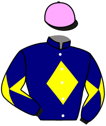 casaque portée par Hardouin E. jockey du cheval de course THEWIND CRIES MARY, information pmu ZETURF