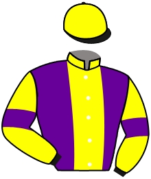 casaque portée par Guyon M. jockey du cheval de course GAST A GAST, information pmu ZETURF
