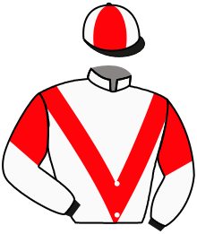 casaque portée par Boutin Hug. jockey du cheval de course QUELLA, information pmu ZETURF