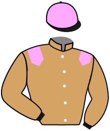 casaque portée par Planque S. jockey du cheval de course LAGOA SANTA, information pmu ZETURF