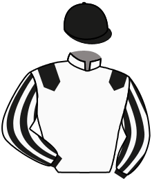 casaque portée par Journiac H. jockey du cheval de course EAGLEHAWK, information pmu ZETURF