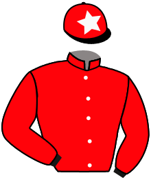casaque portée par Hardouin E. jockey du cheval de course SPACE QUAKE, information pmu ZETURF
