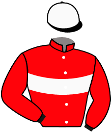 casaque portée par Piccone T. jockey du cheval de course CALYPSO, information pmu ZETURF