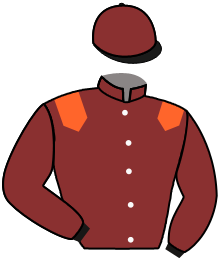 casaque portée par Lecoeuvre C. jockey du cheval de course VIOU, information pmu ZETURF