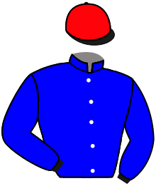 casaque portée par Hardouin E. jockey du cheval de course GUALTALLARY, information pmu ZETURF