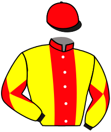 casaque portée par Boisseau L. jockey du cheval de course MAHJONG, information pmu ZETURF