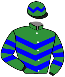 casaque portée par Sias Gio. jockey du cheval de course ZELZAL DREAM, information pmu ZETURF