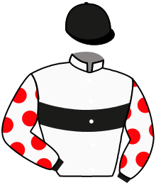 casaque portée par Demuro C. jockey du cheval de course POTEMKINE, information pmu ZETURF