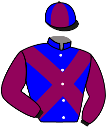 casaque portée par Hardouin E. jockey du cheval de course DOCTOR RON, information pmu ZETURF