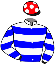casaque portée par Topin Mme S. jockey du cheval de course BEAU LINGE, information pmu ZETURF