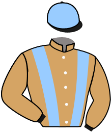 casaque portée par Gavilan Ale. jockey du cheval de course RAPIDO PRESTO, information pmu ZETURF