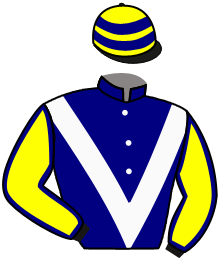 casaque portée par Gutierrez Val A. jockey du cheval de course LE SAGE, information pmu ZETURF