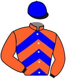 casaque portée par Werle A. jockey du cheval de course BABY GEORGE, information pmu ZETURF