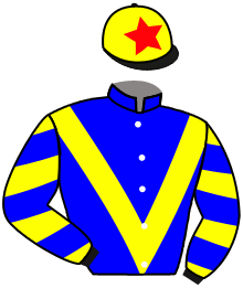 casaque portée par Topin Mme S. jockey du cheval de course LAUPER, information pmu ZETURF