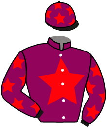 casaque portée par Romary Mlle M. jockey du cheval de course VALINA, information pmu ZETURF