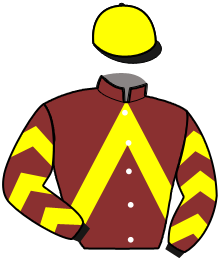 casaque portée par Raffin Th. jockey du cheval de course MAGNOLIADARCHE, information pmu ZETURF