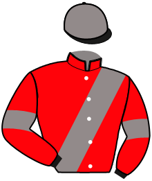 casaque portée par Bergh Rob. jockey du cheval de course LADY D'ELFE, information pmu ZETURF