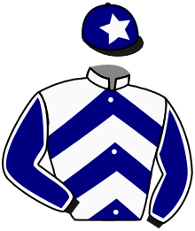 casaque portée par Lecoeuvre C. jockey du cheval de course ELUSIVE GLORY, information pmu ZETURF