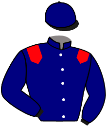 casaque portée par Mangione R. jockey du cheval de course BOLZANO, information pmu ZETURF