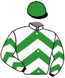 casaque portée par Journiac H. jockey du cheval de course CAROLINE BAY, information pmu ZETURF