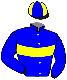 casaque portée par Riehl Mme M. jockey du cheval de course NAVARE, information pmu ZETURF