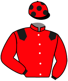 casaque portée par Piccone T. jockey du cheval de course BEJAR, information pmu ZETURF