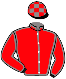 casaque portée par Merou Mlle A. jockey du cheval de course LE QUEEN, information pmu ZETURF