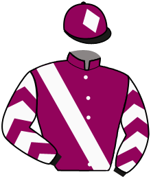casaque portée par Raimbault C. jockey du cheval de course PRETTY WARRIOR, information pmu ZETURF