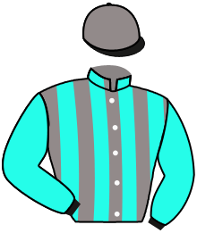 casaque portée par Boutin Hug. jockey du cheval de course WURFGEIST, information pmu ZETURF