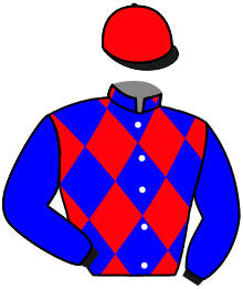 casaque portée par Guyon M. jockey du cheval de course AMARENA DODVILLE, information pmu ZETURF