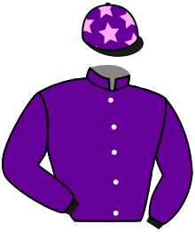 casaque portée par Velon Mlle M. jockey du cheval de course PRINCESS ANNE, information pmu ZETURF