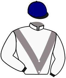 casaque portée par Boisseau L. jockey du cheval de course WAKANDA TANGO, information pmu ZETURF