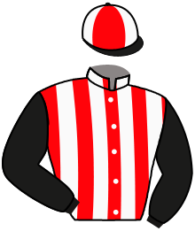 casaque portée par Hardouin E. jockey du cheval de course ANGELIC CHORUS, information pmu ZETURF