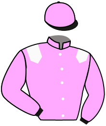casaque portée par Boutin Hug. jockey du cheval de course ROBIN, information pmu ZETURF