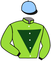 casaque portée par Demuro C. jockey du cheval de course ASLAN SENORA, information pmu ZETURF