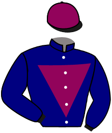 casaque portée par Moutard Jer. jockey du cheval de course OSER, information pmu ZETURF