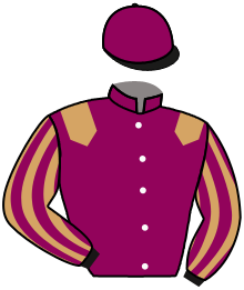 casaque portée par Lefebvre F. jockey du cheval de course XARUN, information pmu ZETURF