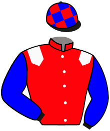 casaque portée par Raimbault C. jockey du cheval de course HYPNOTIZED, information pmu ZETURF