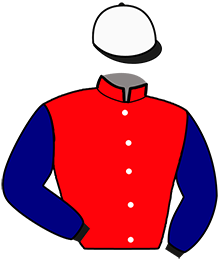 casaque portée par Ruet B. jockey du cheval de course IGORINO, information pmu ZETURF