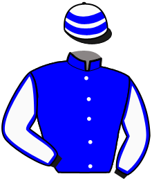 casaque portée par Berujat Y. jockey du cheval de course JASMIN DE VINDECY, information pmu ZETURF