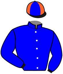 casaque portée par Chauve-laffay Q. jockey du cheval de course JASMINE LOULOU, information pmu ZETURF